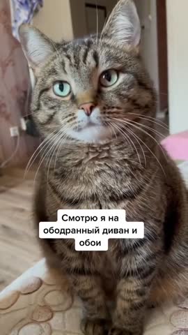 Клип_ideas_101_1