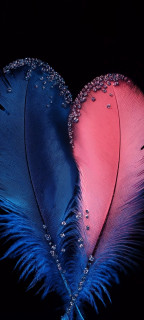 YAtA278aFeMnn-bxNemvSCKQ1gfuD5aXXUGG6EUWBqKVUFKg8JSWpSU5yo09rH40NZGdDSVLopoaSijK8XokL-CJ