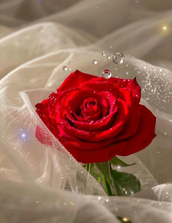 gkCFZ262yuv2yIrqqZyJjOsl_VDTEyzibWKSPc__Q7uv8K5V0NIGrDwdzUpDPeLRPab7UkvM_ZtFOrS9QNP29OBz