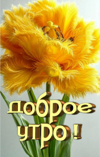 IMG-db6759c1efedbdc34b4f85cdc986838e-V