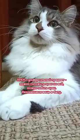 Великий и могучий русский язык