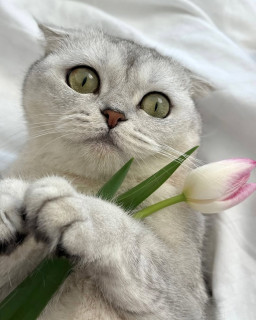 i27BSxBEl-g8BQxAMnq08ErJJceaDaEvjZCv--aNgw9Vqv4Q4t6SxYN45XpMsZJQxt1rMxHW-Thmp9jcrWJfuTxR
