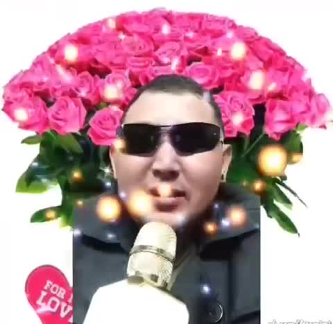 Foiz_PRO_VID_20250308_144650_703