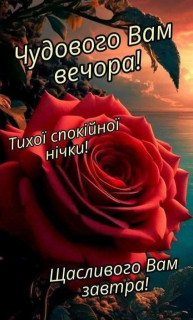 IMG_20250310_232303_216