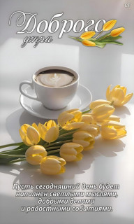 IMG_20250311_044400_396