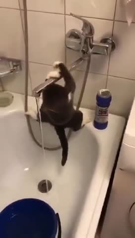 c32a323034d6821ee2632e4c3b73f54f