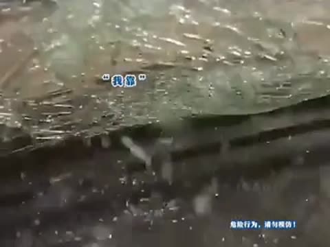 летающие_колеса