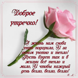 IMG_20250312_234529_391