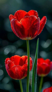 AY2yZFfs10SsOxMF1cNUk-r5ioJXVvwOuWxIH8W20olcnFZObhCSVq5FI6AouVGolDfeLST8UQOWIZb-PKMNihKl