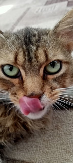 OV39XS_jr92y6AQ8v93mOSBwRM6zSaeGmUCBIWI0MoJAET7nyGZP0ggy3Chs0Yz0nmj7yujvqfSzyKXuKFyZR8os