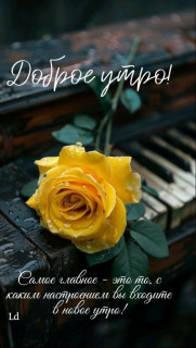 IMG_20250315_055907_301