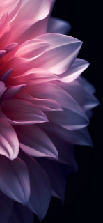 5RpLQq2yi3l-9f0m0BP3j60N2MxpYDN8_EMHj9gr4q1hJAtIdKzNbzZoySChtUKFtx5GzfHaj5atBsHMIVMNWoSi