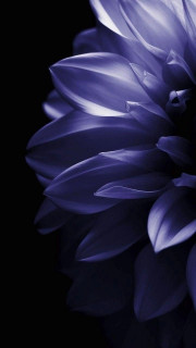 YKm15BcvWcIjdgzowKq8FJITA1OrJtc_sfpcXdMYmvTg5G8eGBu0eoqevayrRWyt5YuCMNqNWWn_Q50lrr_eXW