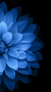 UdUt7FrZnRYJqKlZUkv5PN5nSmu5SRtewDe70Df0hUpG0g5Dz_uEGkl8lKjfQ3Cnp9pecpKZ75NophB47s7hUQEa