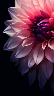 0ZZspKCb4i0uoIBOdaHDjkOiorqvvklCXAURzQIeMawvS9o40XIc8Q1RtEP17FRHa5abKVeWsoe3VlNZL61hu_XW