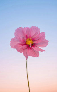 t0a0fzV4AsVMiHdx427eUtQzN71j82iMbSsPwxy3fCb3JQ0yZc350APokjVVMnhjDLJ8HfgB9m0TMUKn4GqwL0zV