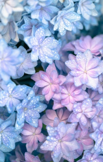 Ud8z1nfenPOLAaT5Sg3gOML7kNbgubTTL9-7fOeRwQGpgyTKoKB7nHJ5Oro4EM2Ryj-ZzsDbJrVfdWtVcEcLhK-O