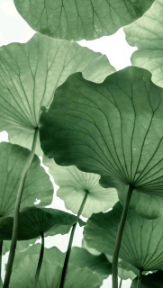 5GBNYe4hhxqxVCS8vIeH6UswUZzdw8whKM5PwoHstndQdbi4OsKbDUdrtEEm8PT8DiEf65YO4yXeZvg6NoopEk8f