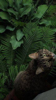 uzxT0JlIanubC6vqtd7mP7fObD8FeaczFnK9XvB5ry5W76HCdWJWvLb4ho-6T5ZnIsG5Yf6x5XsdekJp9_aY2O5y