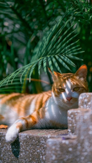 3HUFJcsX32ArWCxi89LdWvFYpV2XXv32ZSZ_iPcfsX3tUGorf8OBNxvOzQjSQxqvKH-LuJA3K7K7_XtwNZPwo3ue