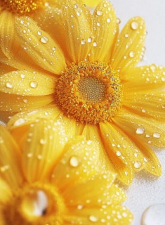 00goIQvty5x4rxQxjZukEM7BewPGAtxc6owbHyTaWBpTfODynYE6XJ4sI0GHVf_mpXvrcAdkUWSeyjcvVUZFknrg