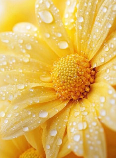 lZlFlIJGfXDF9luC38gRCBV630IC_lNW74N-gPt_n0_6R2hu6DnM3rvo-icTgHI6ia9bQU3EcX8AfpNbf-AvaCAS