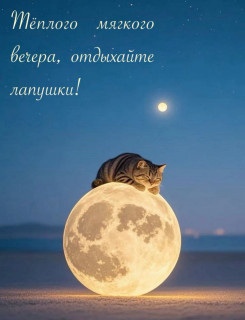 IMG_20250317_190500_173