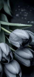 zmNSqB0SGKi02vcA9a9P2i9hkOHAzc4wflk8jSqhD0aovNOoc5n-O-Gfzu9dKoF4JSxzQvjnN0ps4sXeoGVBvR5h