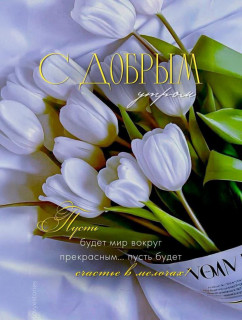 IMG_20250318_235510_385