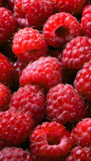 WWxLCPSdkBL3TyJ0SS-y-YU4TwF9CFgv9CA6wHnXEhUkMEN1ExmvXyX33pImSHek-ANXfy9b8mgeb8USVUYHpdWy