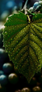 zTbzuGNP0CYShtjy38RRiQyP6PTwoUlPMX-V5ejw4fnq-AjgRiWdF7HMV1NRRtsNf_lsSIdSDwXmTXwKmLkj64S-