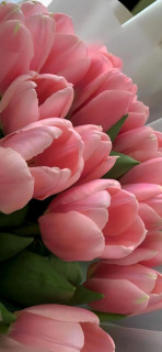 ZtYxI5KwAujzfXw6D74Rb83mX9DyJ1hfHSUHKuXnqFsVLQFShvhfm0Ssx2mMK5W0KfO175R9jL5rqaCGzj_flNmi