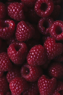 28BIYxM2XAZNZKZGnuKP6UIVyRyFdQ7uncREjR630wCytC31XgtsvNJUhnXqUMILUxPDA7g3UB37CQVNDIlJHfno