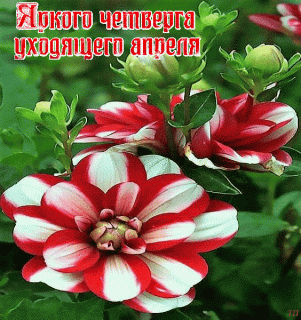 15j74q2ae5q9uq01