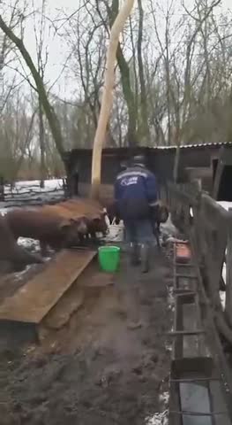 Главнокомандующий