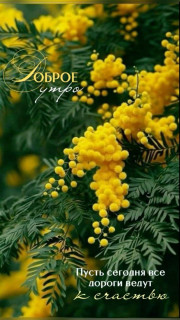 IMG_20250322_054900_611