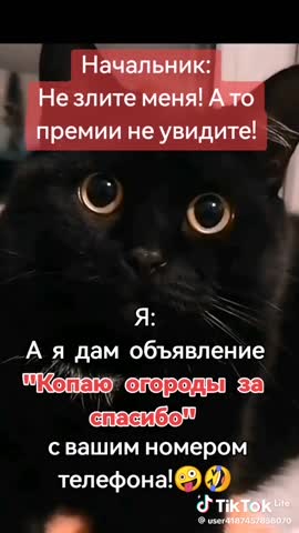 05b2b0ede41e8da20f5f5c3d39b73484_1742657485749