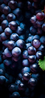 3h_W0FlrkJf-aKMeFUrGfFfnoG3hc15SHZOwG-QptU9AcXPfWYdsIxF888-shyNQigzGWSWs8KmHBmYd2wgG5X1r