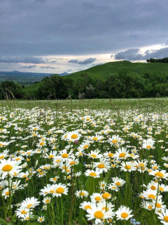 Lk5nbpjA5ssHRH_O01m3Uc8IYC-uLGhGHD6jOF6yilr_qQTCq6vP7C5frZo7s5TnhPBeprMW1F8KQn6HERq4i15P