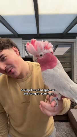 Настроение