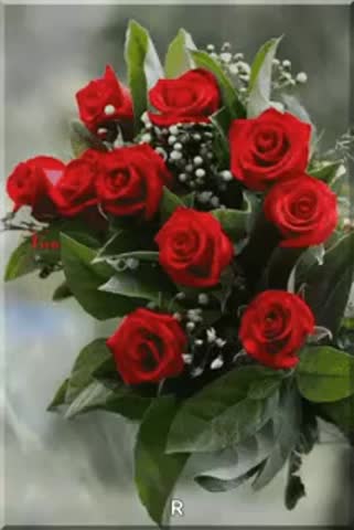 VID_20250325_025306_030