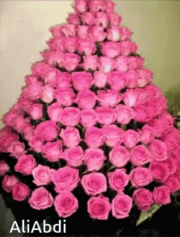 VID_20250325_025208_564