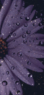 BIL9QBJaS68D8JR0KdLJHYvbAV5YurkpEctLLYCDq-zu9nJGxmdeVZNoIuVhubYF_mEjUEiBGm1O1FWnHgO-xhy0