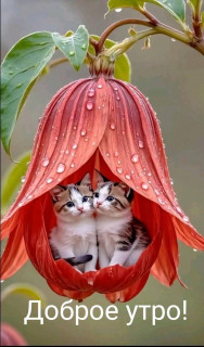 IMG-47309feea37f22eb127c05919ab9d543-V