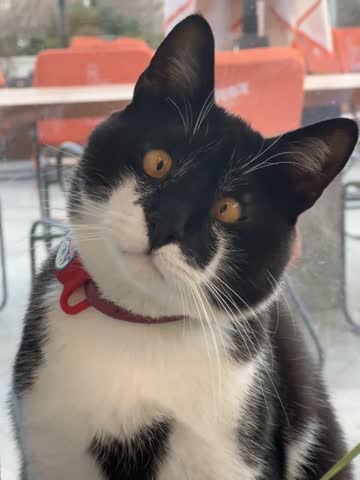 arbievnazazalaeva_2025-03-25-22-47-43_1742932063286