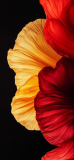 uUr7r983upMySK_AfM6jzkP8qnVmg8SNXITxYeBqaLNKn-fED84X-d7iBKGk-OhKz3TQvpg3IcHeZ6-sEf2I5Hij