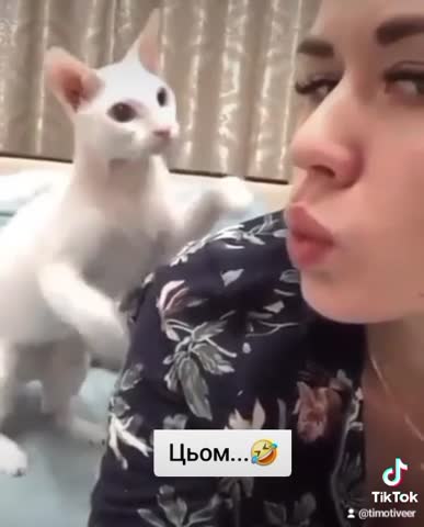 5ee94b7a0bd723d8c138f77c3243b1cd