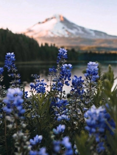 eI9317ejRf-5VlQ1cPhIDFLPNfm57zX_y1Dc3gnEQnqTidFtHCDuI2luFjXKYm0p5YAZJiCysbK7jNrY1goC7HrM