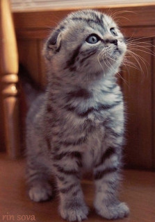 lKhHSQH7ZsnOY-aaAke_994lKQulwUOfroP_SY31pj52fEW37P3mmHXbaBFHadO6YJMT_cWQDpEOyyJKgc4TylQo