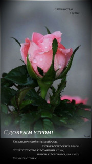 IMG_20250327_054908_615